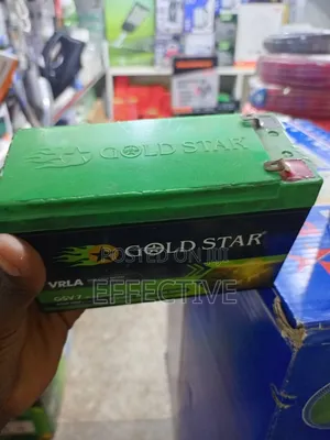Gold Star Gsv7 Vrla Battery.