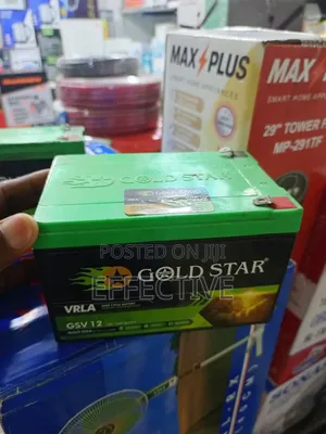 Gold Star Vrla Valve Regulated Lead Acid Battery.
