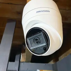 Cameras and Fencing