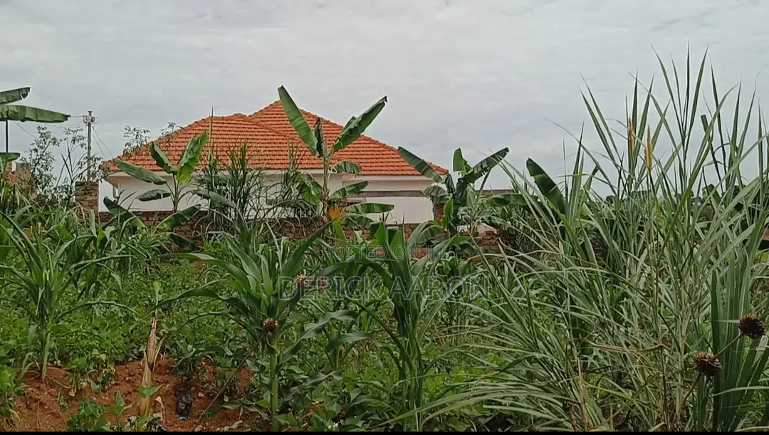 Nakwero 14.5 Dec (65ft by 100ft) Plot