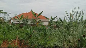 Nakwero 14.5 Dec (65ft by 100ft) Plot