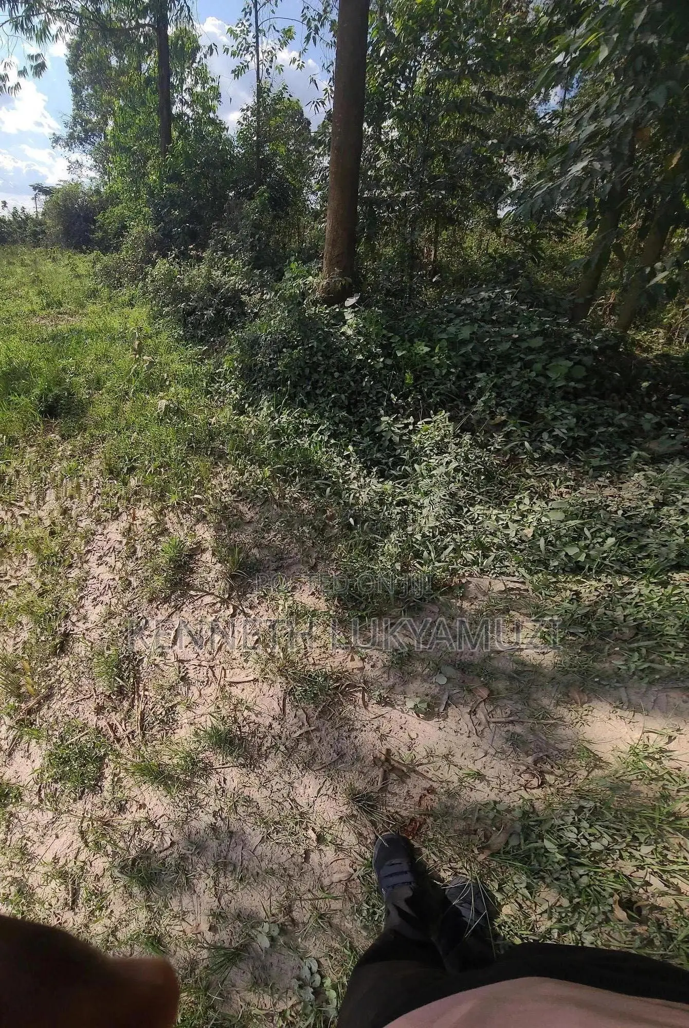 Prime 2 Acres Land For Sale