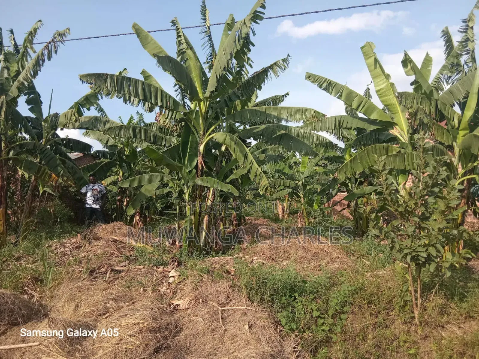 Land on Sale in Zirobwe Phase 4