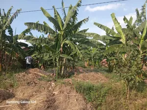 Land on Sale in Zirobwe Phase 4