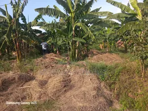 Land on Sale in Zirobwe Phase 4