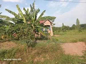 Land on Sale in Zirobwe Phase 4