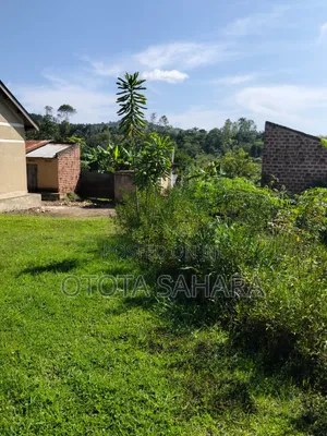 3bdrm House in Seta, Nakisunga for sale