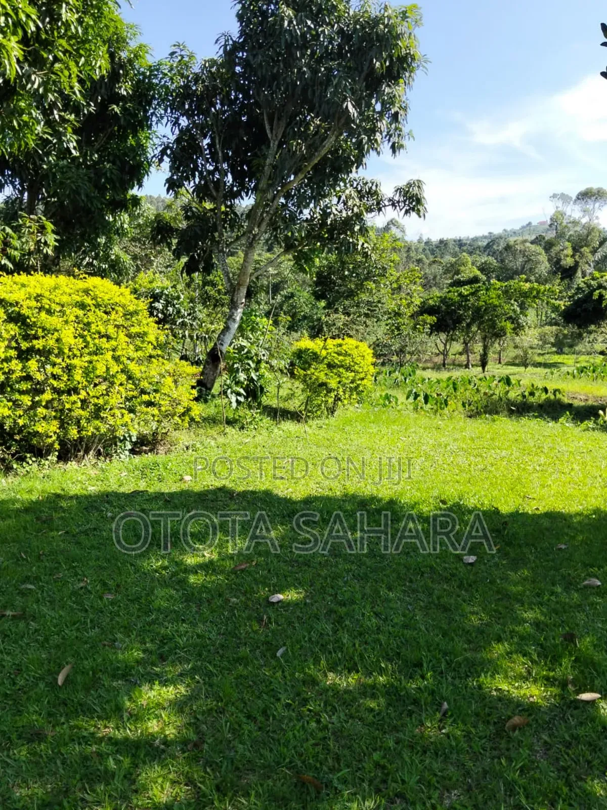3bdrm House in Seta, Nakisunga for sale
