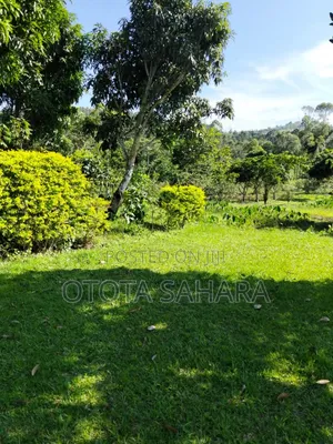 3bdrm House in Seta, Nakisunga for sale