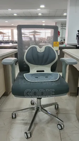 Executive Office Chair Withergonomic Lumbar Support Backrest