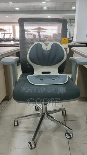 Executive Office Chair Withergonomic Lumbar Support Backrest