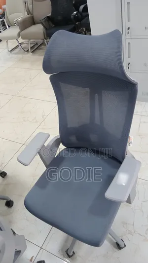 High-Back Ergonomic Office Chair a Breathable Mesh Back and a Headrest