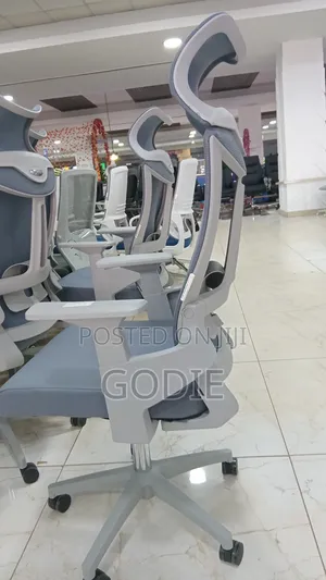 High-Back Ergonomic Office Chair a Breathable Mesh Back and a Headrest