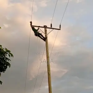 Electricity Pole Services