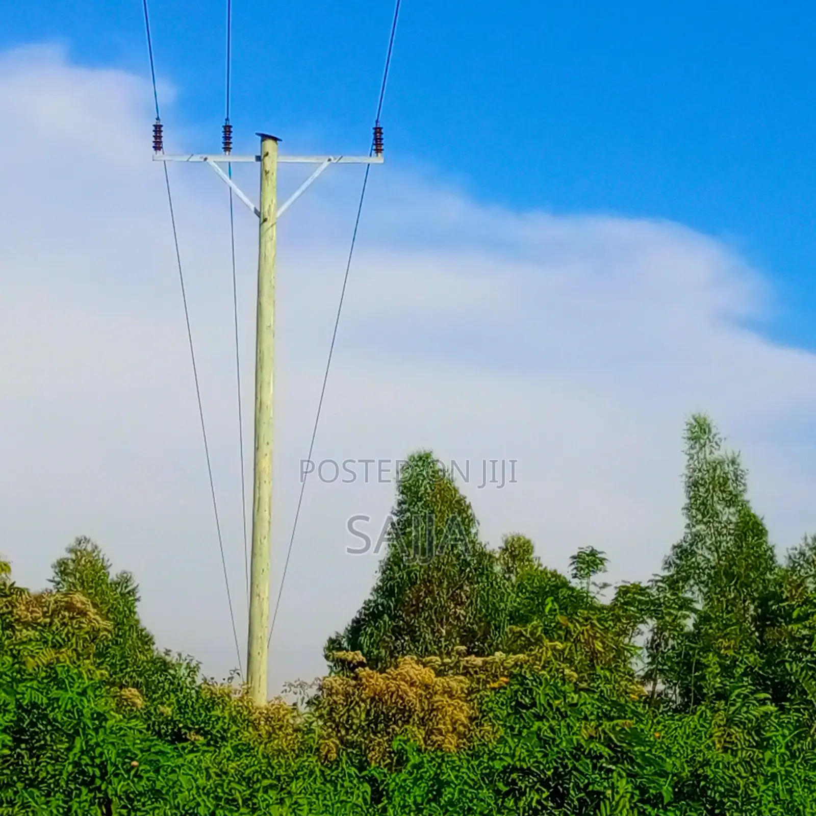 Electricity Pole Services