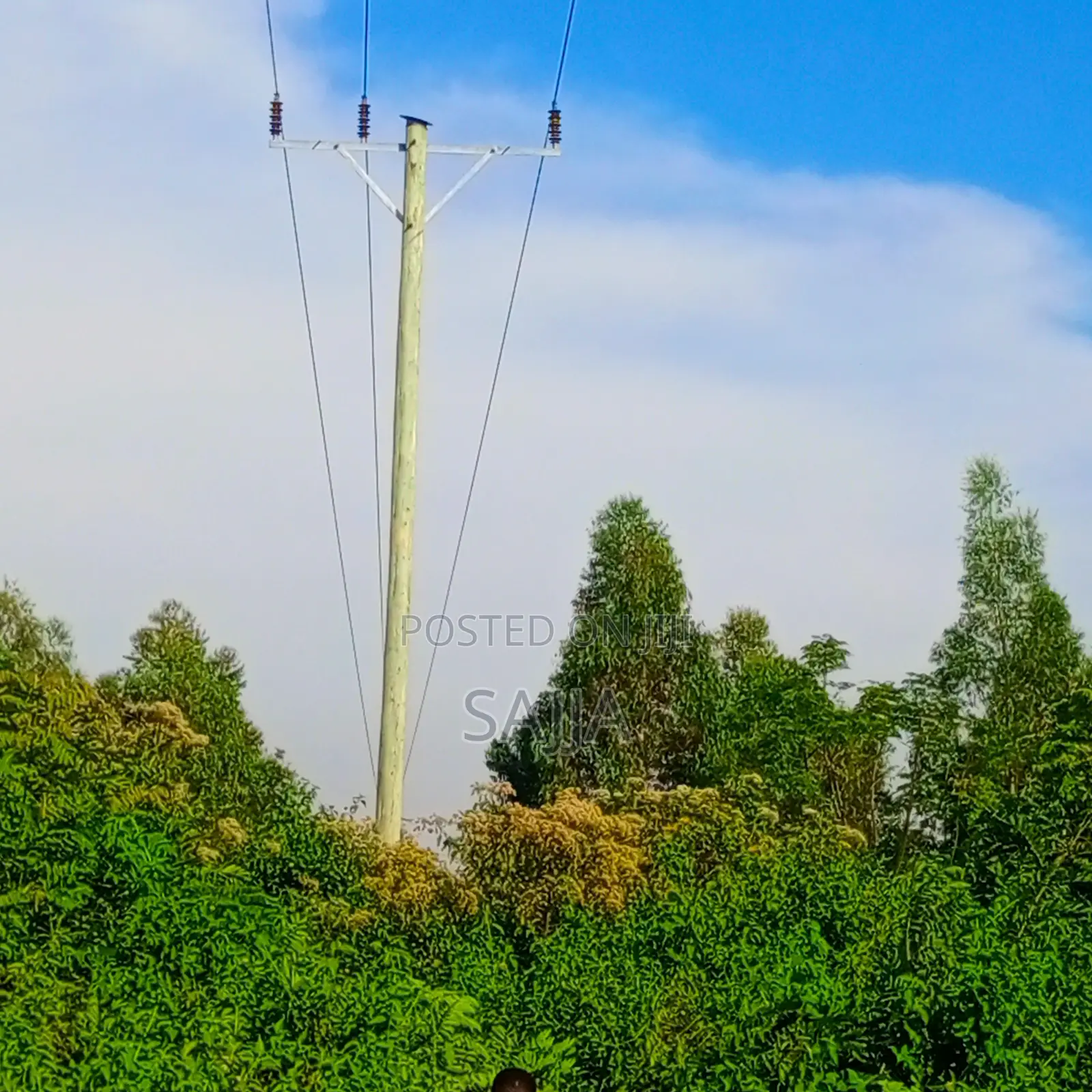 Electricity Pole Services