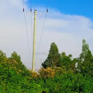 Electricity Pole Services
