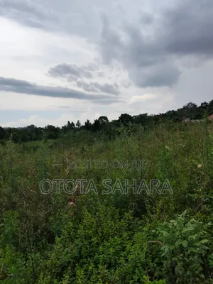 Mukono : Kayanja: 50 By 100 For Sale At Ugx 5.5 M