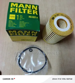 Oil Filter W164, W166 Bluetec, Diesel