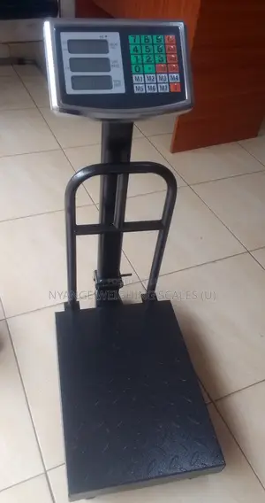 Warehouse Platform Weighing Scale 170kg Weigh Digital Weighing Scale