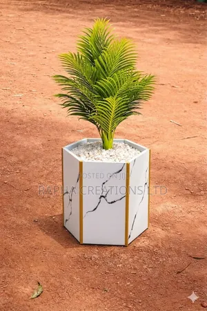 Plastic Flower Pots/Ceramic Tile Flower Pots/Vases/Planters/Flowers