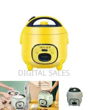 Aide Compact Electric Rice Cooker
