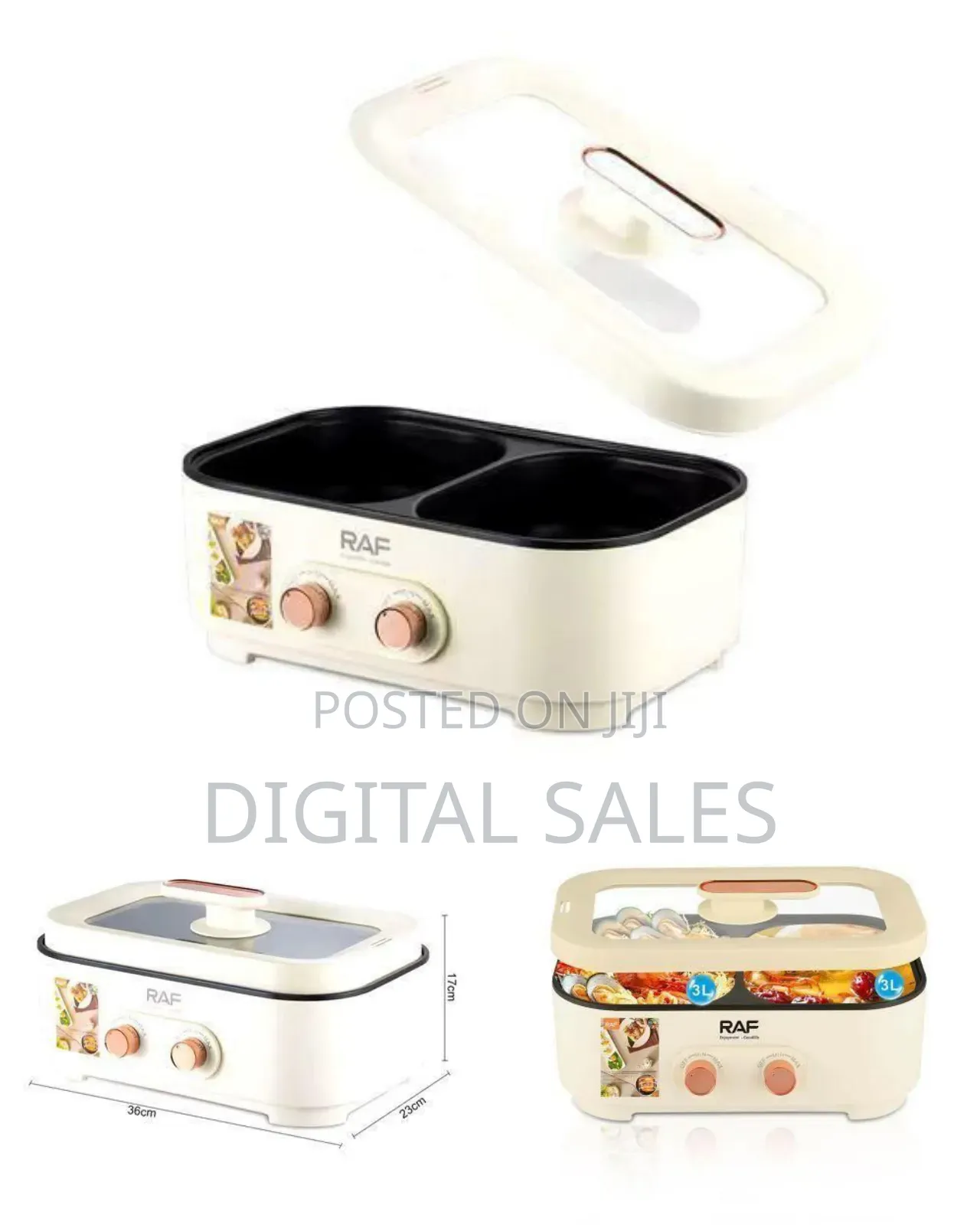 Raf Multifunction Electric Hotpot Rice Cooker
