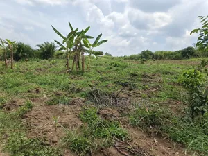 13acres of Agricultural Land on Sale