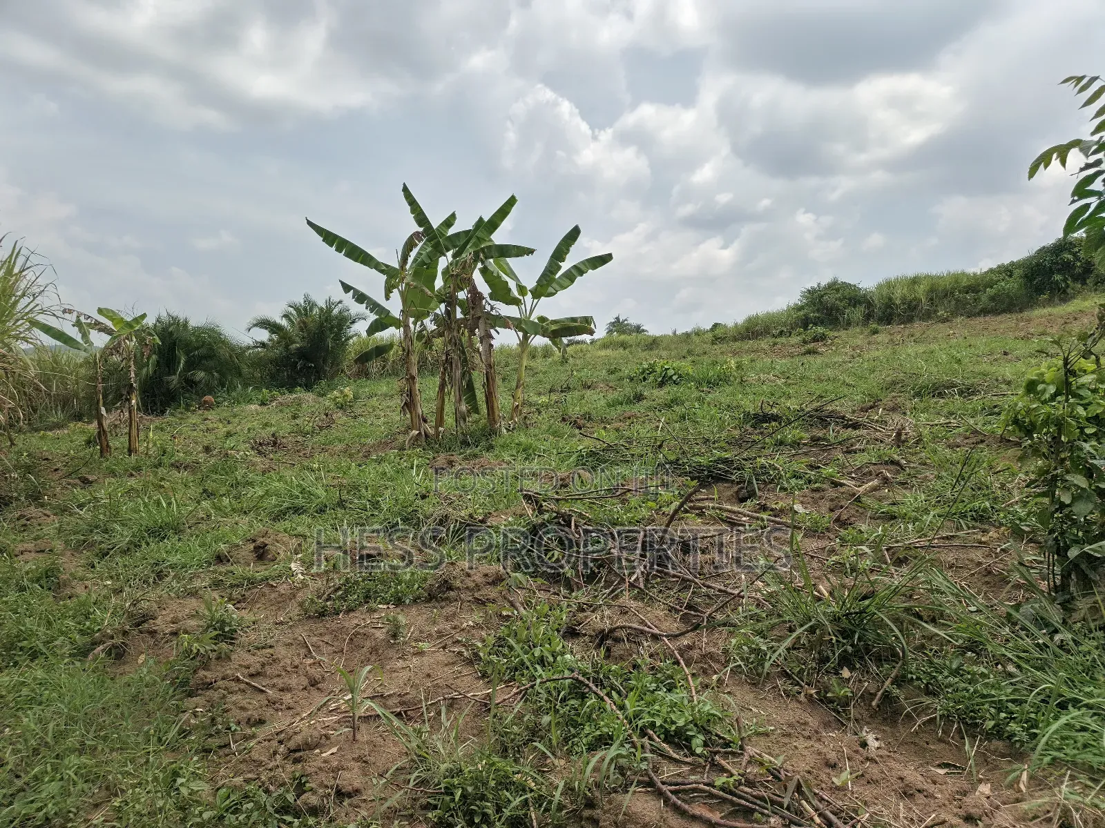 13acres of Agricultural Land on Sale