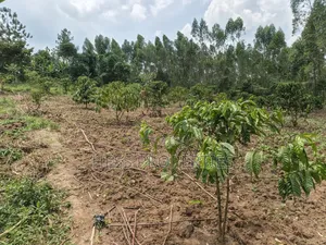 13acres of Agricultural Land on Sale