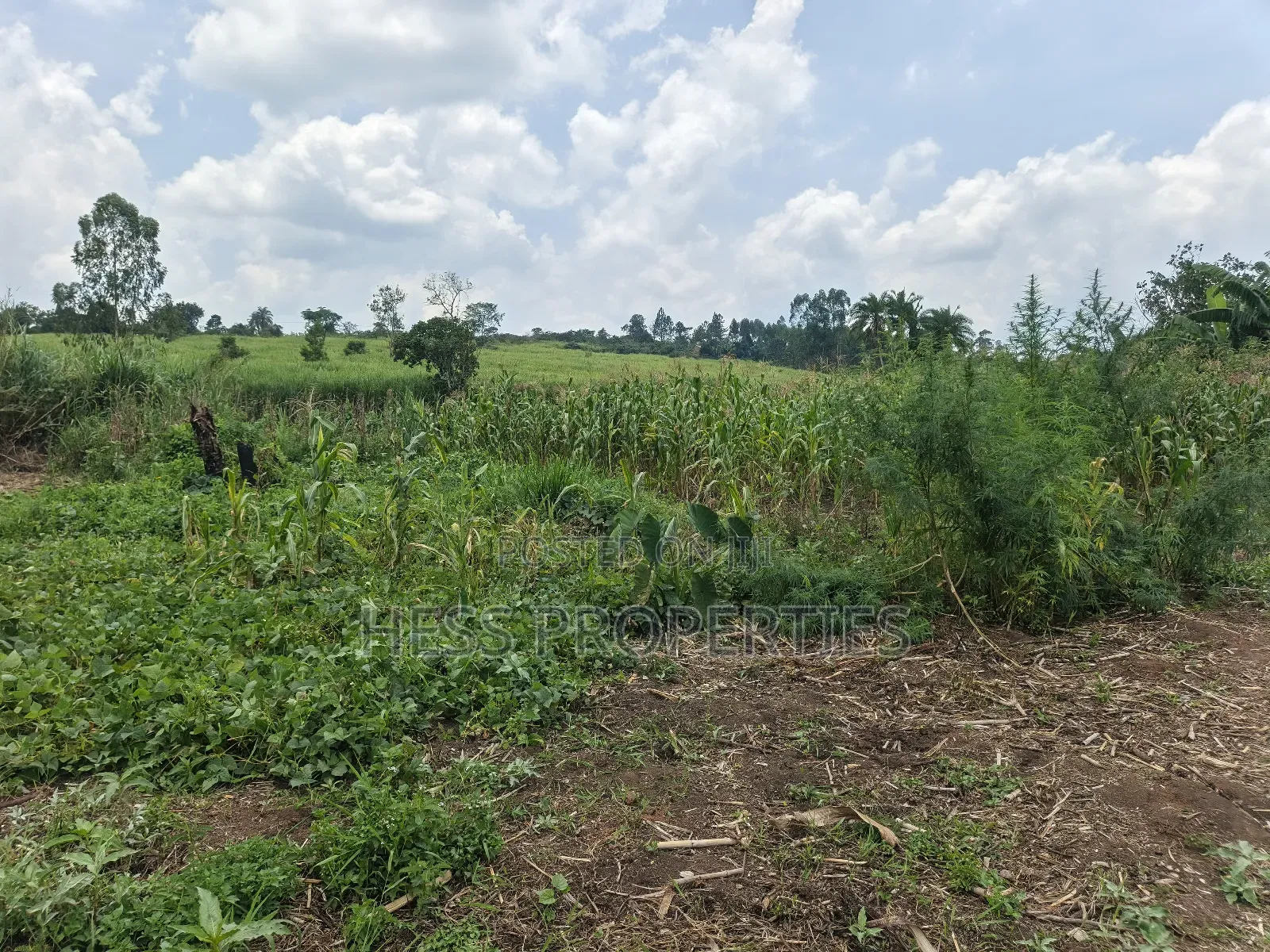 13acres of Agricultural Land on Sale
