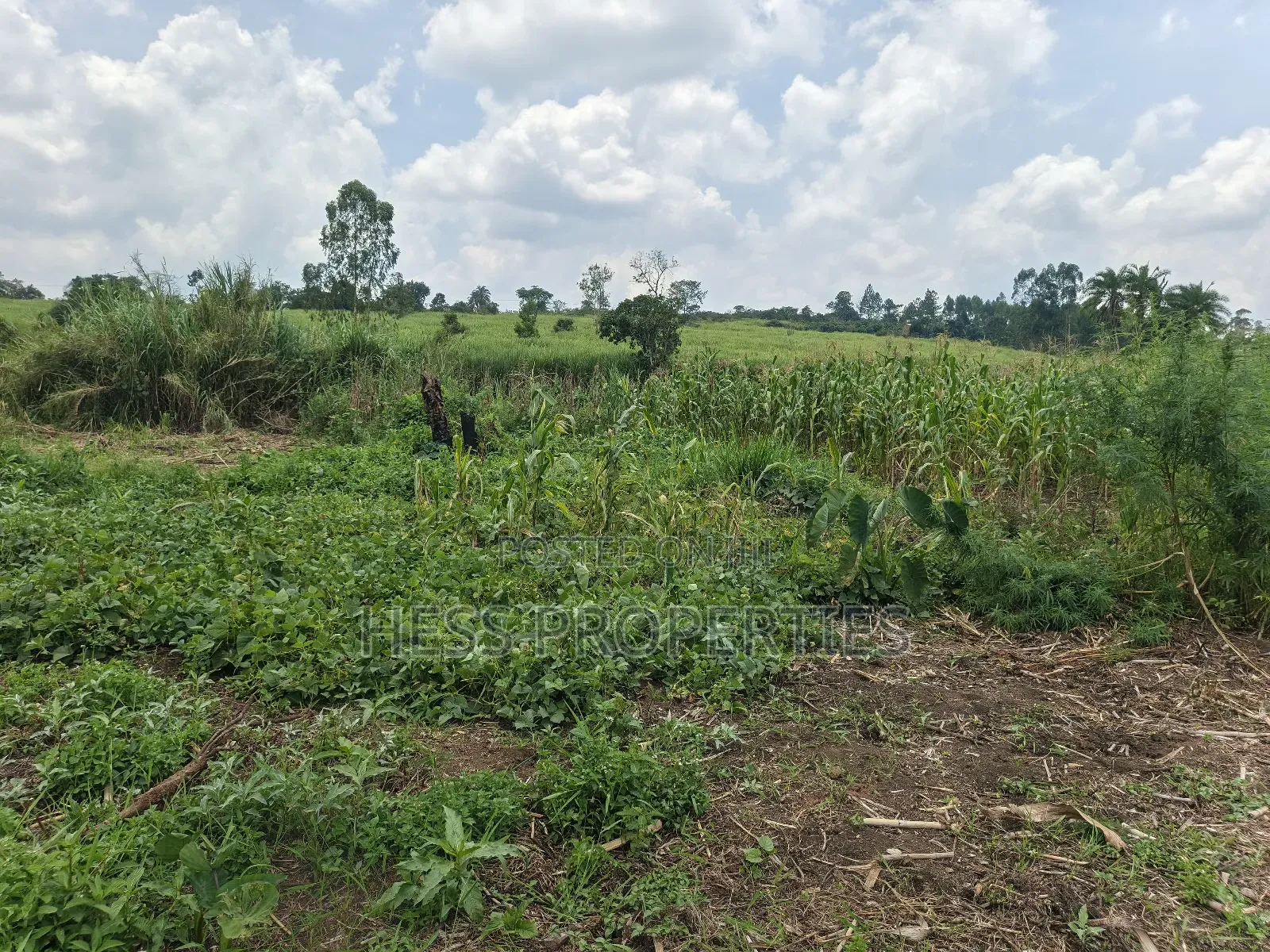 13acres of Agricultural Land on Sale