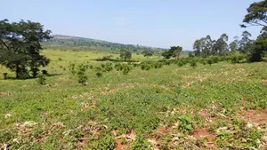 14 Acres of Land in Busunju Hoima Road