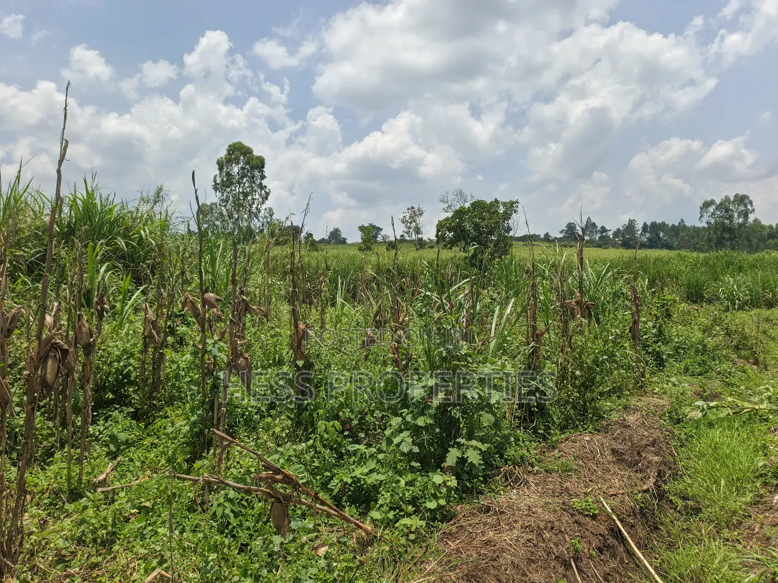 13acres of Agricultural Land on Sale