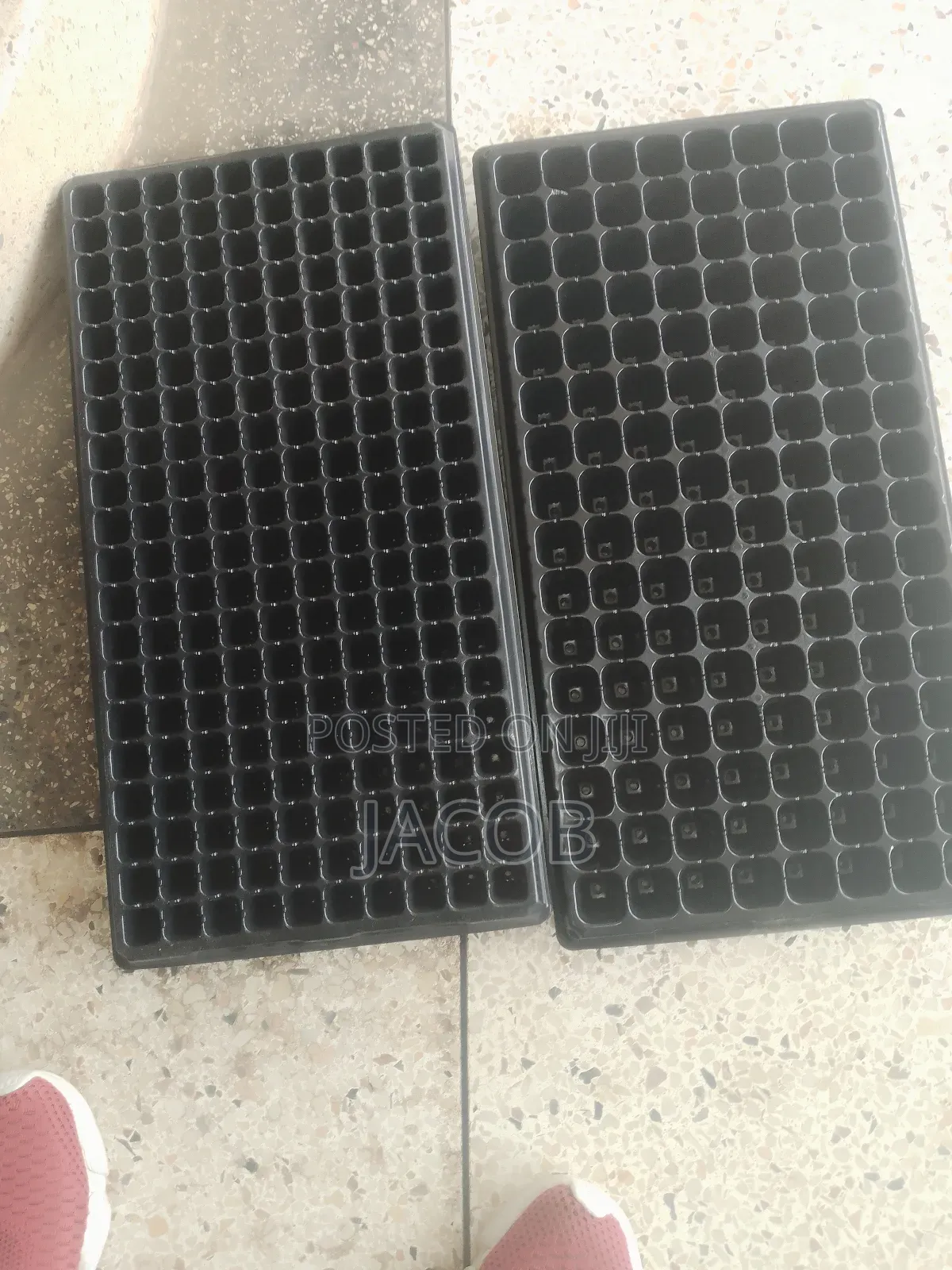 Seedling Trays