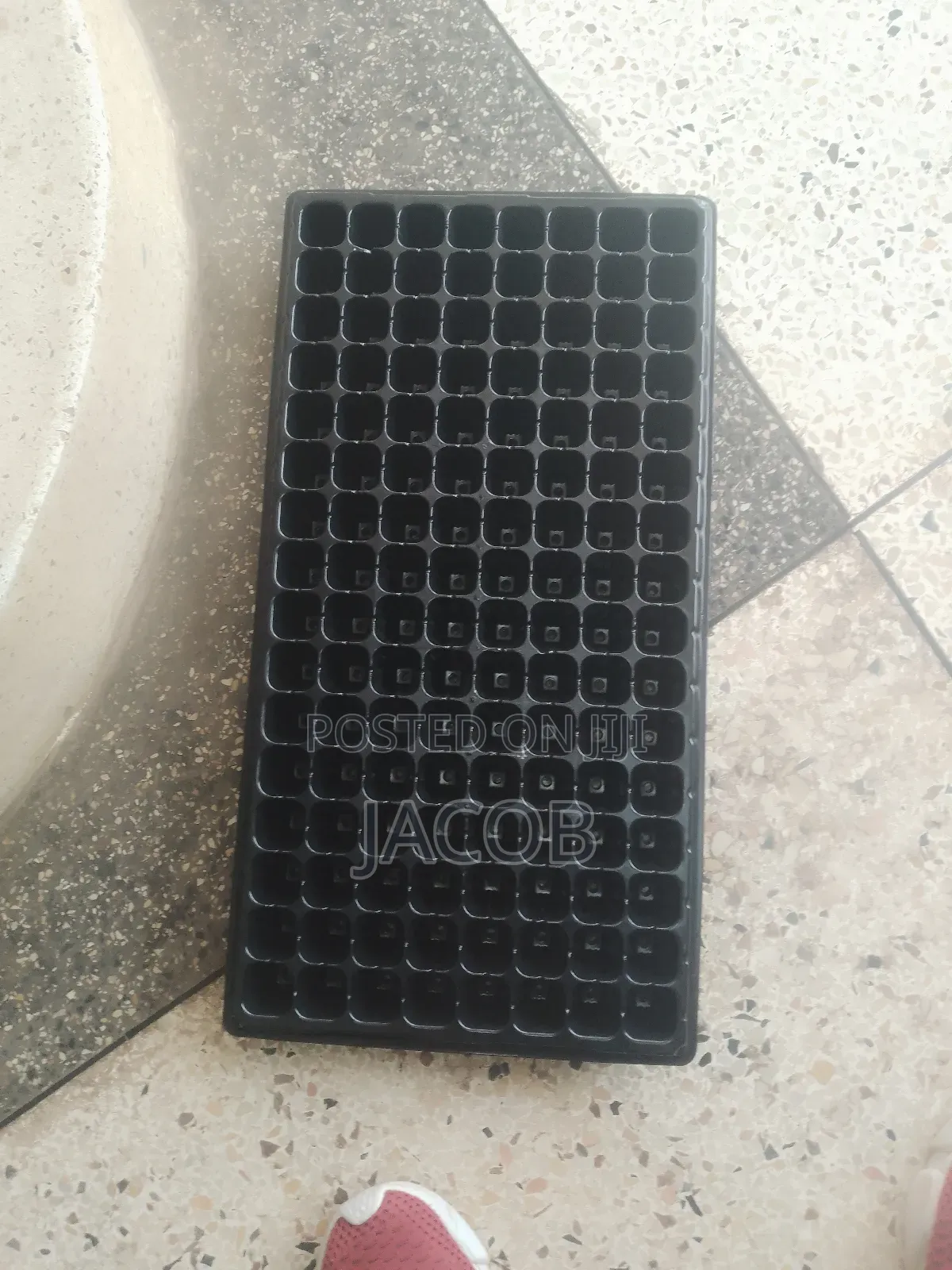 Seedling Trays