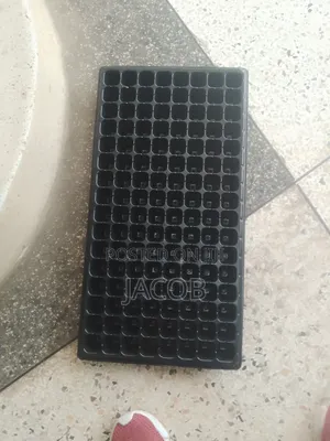 Seedling Trays
