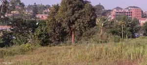 5 Acres of Land for Sale Located in Kira Kasangati Rd at 300m Per Acre