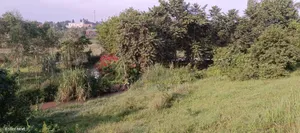 5 Acres of Land for Sale Located in Kira Kasangati Rd at 300m Per Acre