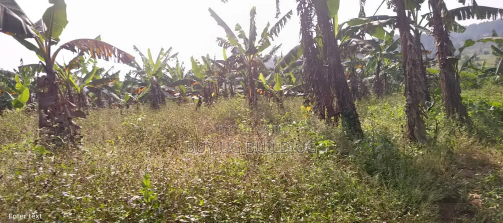 5 Acres of Land for Sale Located in Kira Kasangati Rd at 300m Per Acre