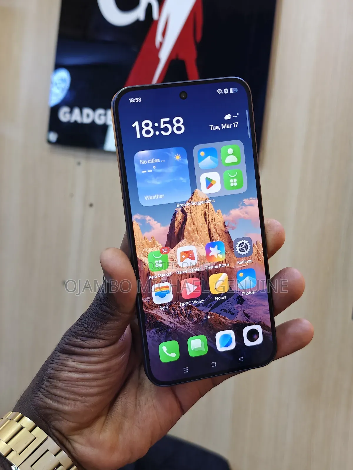Oppo Reno13 512 GB Gray