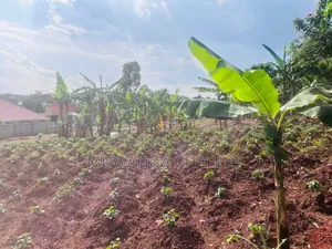 Plots on Sale in Seeta Magere