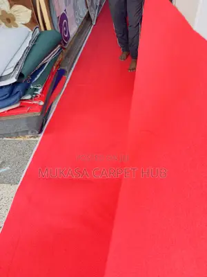 Professional Carpet Installation Services Near You