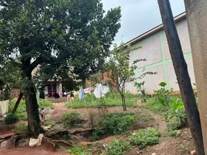 Plot on Sale in Bukoto Near Kisu