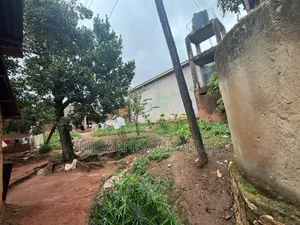 Plot on Sale in Bukoto Near Kisu