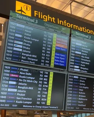 Airport Flight Information Displays (Fids)
