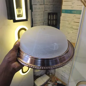 Ceiling Light