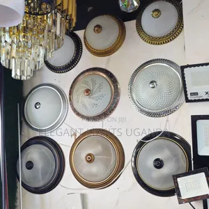 Ceiling Light