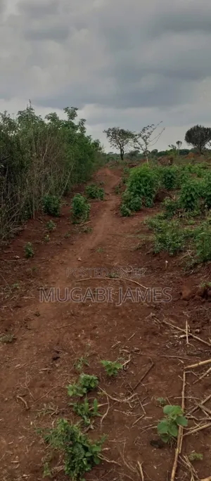 Farmland for Sale in Kakooga