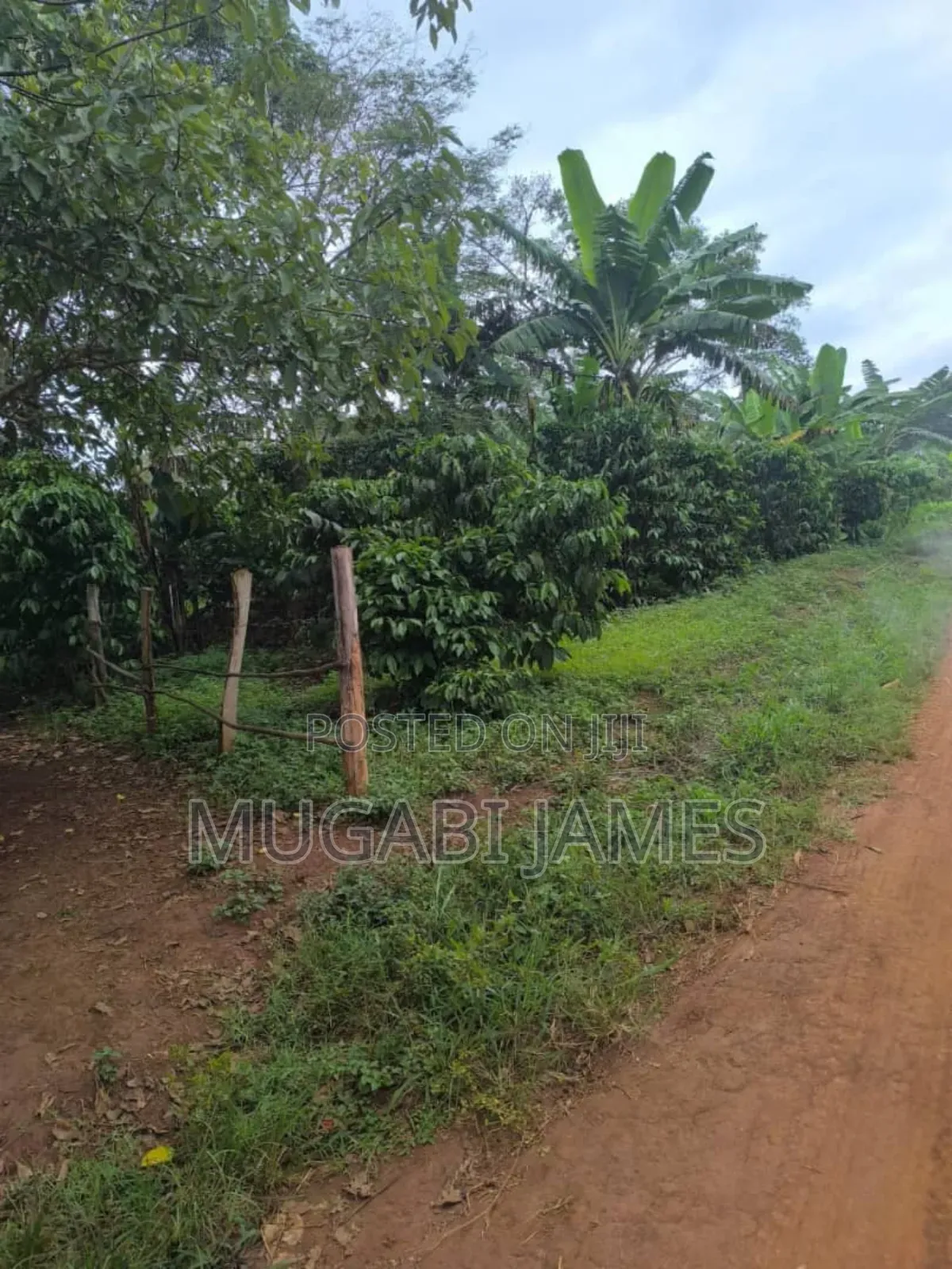 Farmland for Sale in Kakooga